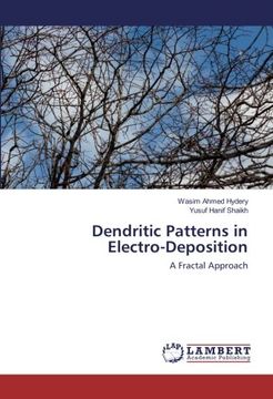 portada Dendritic Patterns in Electro-Deposition: A Fractal Approach