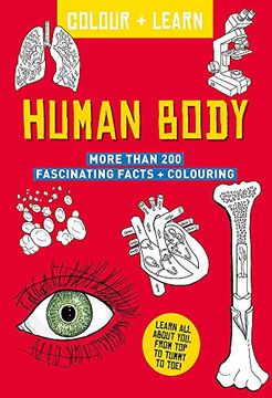 portada Colour + Learn: Human Body 
