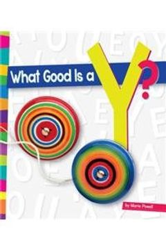 portada What Good Is A Y? (Amicus Readers, Level 1, Vowels)