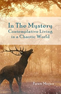 portada In The Mystery: Contemplative Living in a Chaotic World (in English)