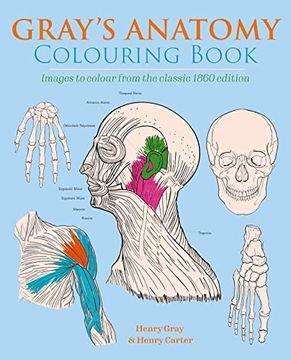 portada The Gray's Anatomy Colouring Book (en Inglés)