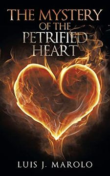 portada The Mystery of the Petrified Heart (en Inglés)