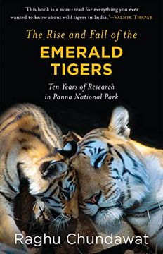 portada The Rise and Fall of the Emerald Tigers ten Years of Researc
