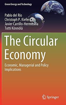 portada The Circular Economy: Economic, Managerial and Policy Implications (Green Energy and Technology) (in English)