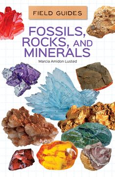 portada Fossils, Rocks, and Minerals