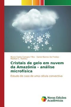 portada Cristais de gelo em nuvem da Amazônia - análise microfísica (in Portuguese)