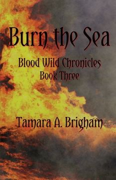 portada Burn the Sea (in English)