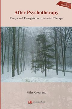 portada After Psychotherapy: Essays and Thoughts on Existential Therapy (in English)