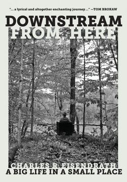 portada Downstream From Here: A big Life in a Small Place (in English)