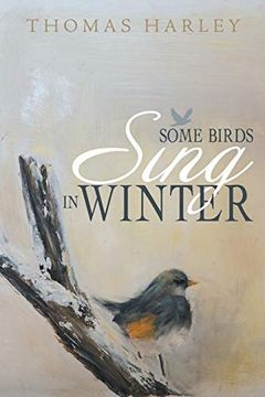 portada Some Birds Sing in Winter: Finding joy in the Depths of Affliction (en Inglés)