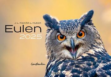 portada Eulen Kalender 2025: Der Tierkalender mit den Charmanten Namen
