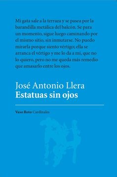 portada Estatuas sin Ojos (in Spanish)