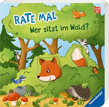 portada Rate Mal: Wer Sitzt im Wald? (en Alemán)