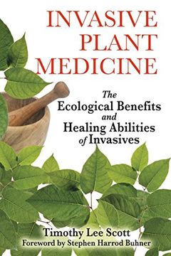 invasive plant medicine,the ecological benefits and healing abilities of invasives (en Inglés)