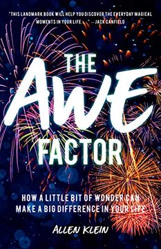 portada Awe Factor: How a Little bit of Wonder can Make a big Difference in Your Life (Theories of Humor)