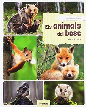 portada Els Animals del Bosc (Àlbums Il·Lustrats) (in Valencian)