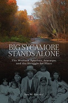 portada Big Sycamore Stands Alone: Western Apaches, Aravaipa, and the Struggle for Place (New Directions in Native American Studies)