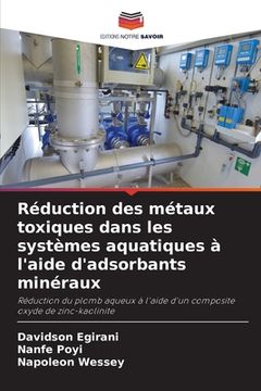 portada Réduction des métaux toxiques dans les systèmes aquatiques à l'aide d'adsorbants minéraux (en Francés)