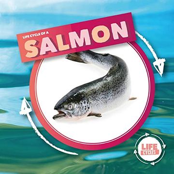 portada Life Cycle of a Salmon (Life Cycles) (in English)