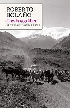 portada Cowboygräber: Drei Erzählungen (in German)