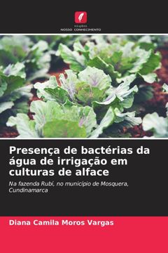 portada Presença de Bactérias da Água de Irrigação em Culturas de Alface