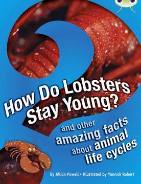 portada Bug Club Independent non Fiction Year 3 Brown a how do Lobsters Stay Young? (en Inglés)