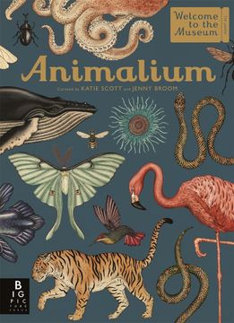 portada Animalium (Welcome to the Museum) (en Inglés)