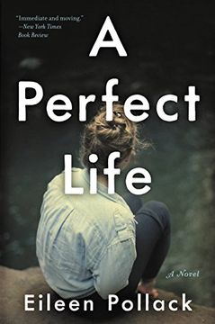 portada A Perfect Life: A Novel (en Inglés)