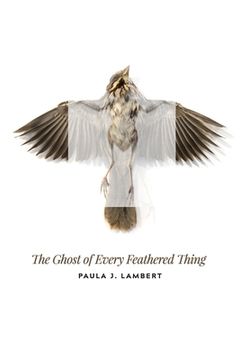 portada The Ghost of Every Feathered Thing (en Inglés)