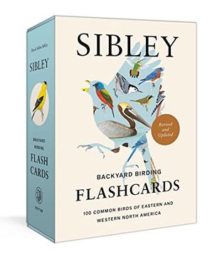 portada Sibley Backyard Birding Flashcards, Revised and Updated: 100 Common Birds of Eastern and Western North America 