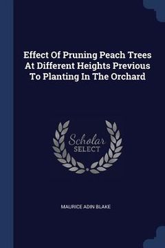 portada Effect Of Pruning Peach Trees At Different Heights Previous To Planting In The Orchard (en Inglés)