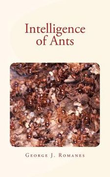 portada Intelligence of Ants (en Inglés)