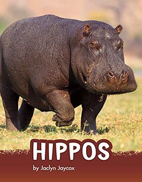 portada Hippos (Animals) (en Inglés)