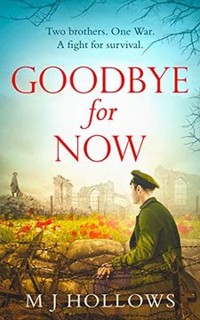 portada Goodbye for Now: A Breathtaking Historical Debut (en Inglés)