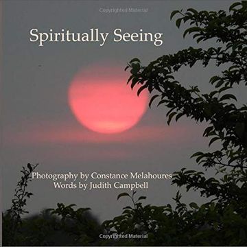 portada Spiritually Seeing (en Inglés)
