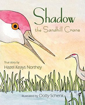 portada Shadow the Sandhill Crane 