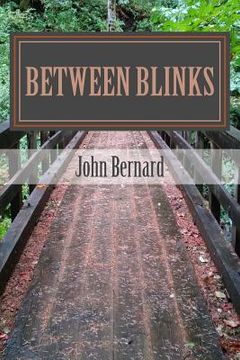portada Between Blinks (en Inglés)