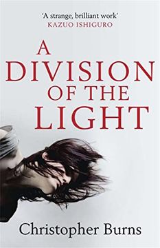 portada A Division of the Light (en Inglés)