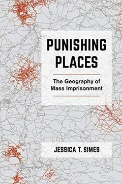 portada Punishing Places: The Geography of Mass Imprisonment (en Inglés)