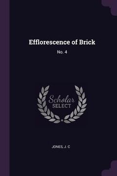 portada Efflorescence of Brick: No. 4 (en Inglés)