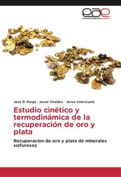 portada Estudio Cinético y Termodinámica de la Recuperación de oro y Plata: Recuperacion de oro y Plata de Minerales Sulfurosos