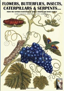 portada Flowers, butterflies, insects, caterpillars & serpents... From the superb engravings of Sybilla Merian and Moses Hariss: Volume 2 (Darwin's view)