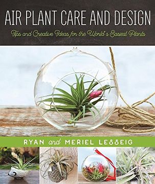 portada Air Plant Care and Design: Tips and Creative Ideas for the World’s Easiest Plants