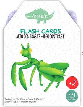 portada Flash Card Bichos (in Español-Inglés)