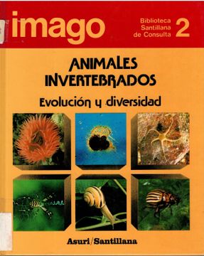 portada Animales Invertebrados: Evolución y Diversidad (Imago 2: Biblioteca de Consulta)