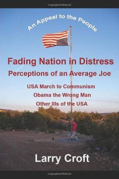 portada Fading Nation in Distress: Perceptions of an Average joe (en Inglés)