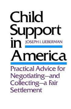portada Child Support in America: Practical Advice on Negotiating and Collecting a Fair Settlement (in English)
