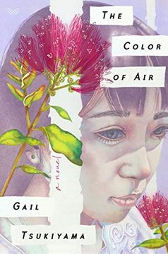 portada The Color of air (en Inglés)