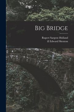 portada Big Bridge (in English)