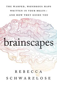 portada Brainscapes: The Warped, Wondrous Maps Written in Your Brain--And how They Guide you (en Inglés)